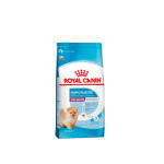 Ração Seca Royal Canin Mini Indoor para Cães Filhotes Porte Pequeno