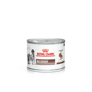 Royal Canin Recovery Alimento Veterinary Diet E Para Cão Adulto Todos Os Tamanhos 195g